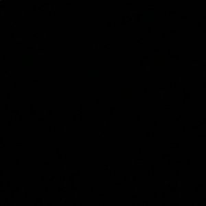 Meet your Posher, Liliana